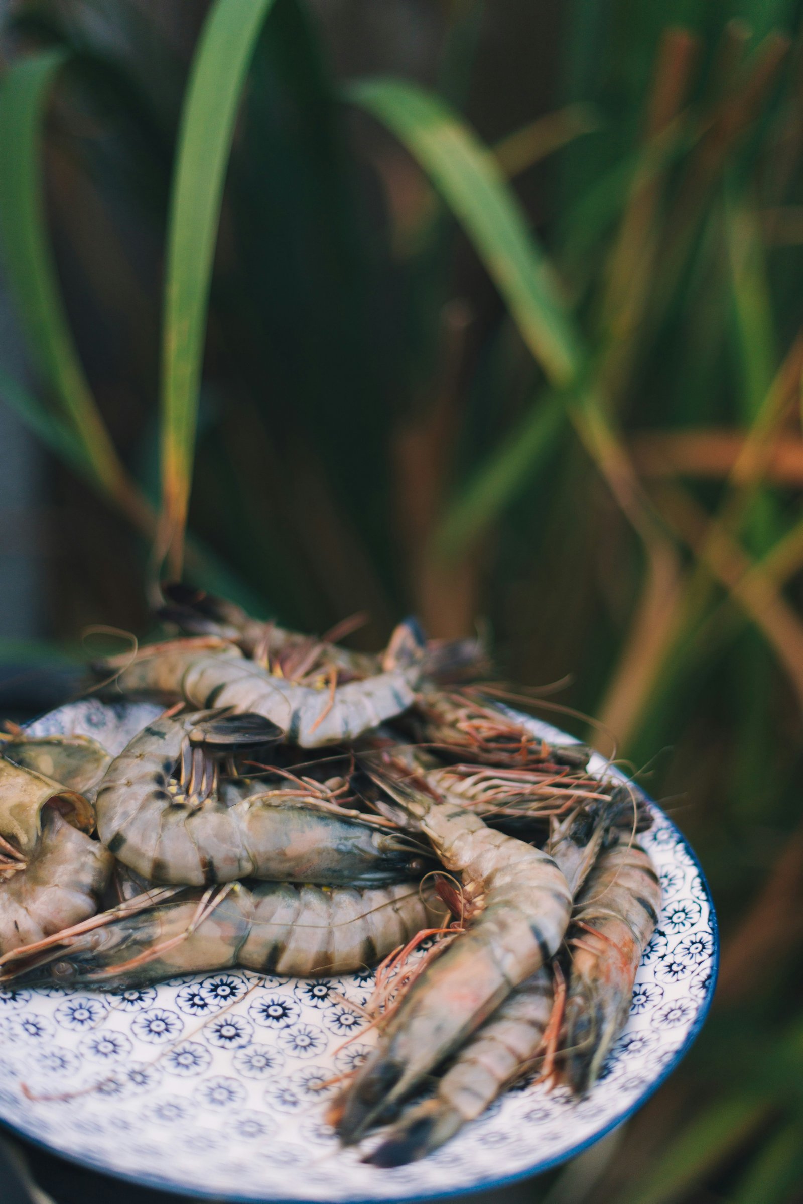 Tiger Prawns