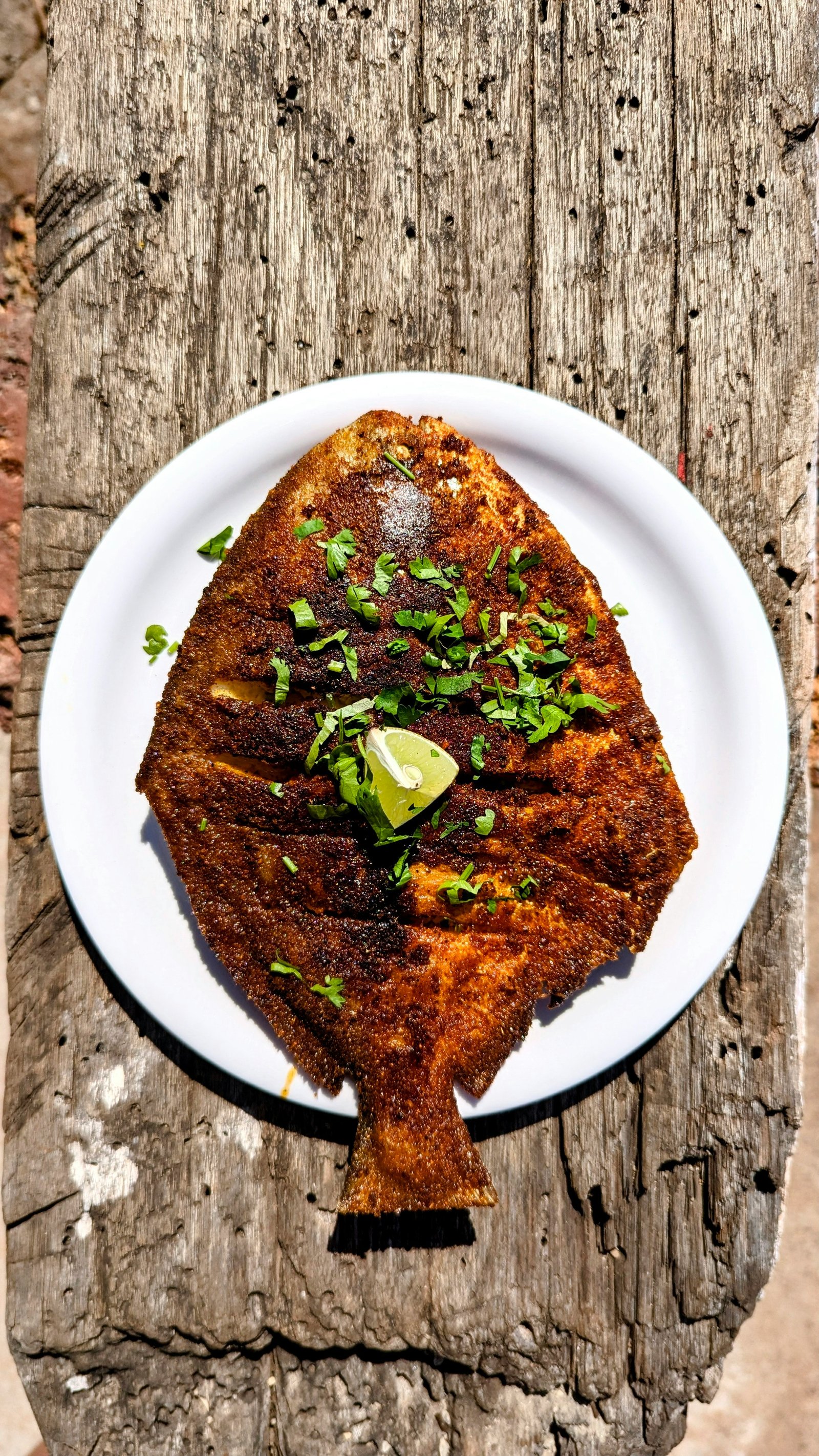 Coastal Fish fry