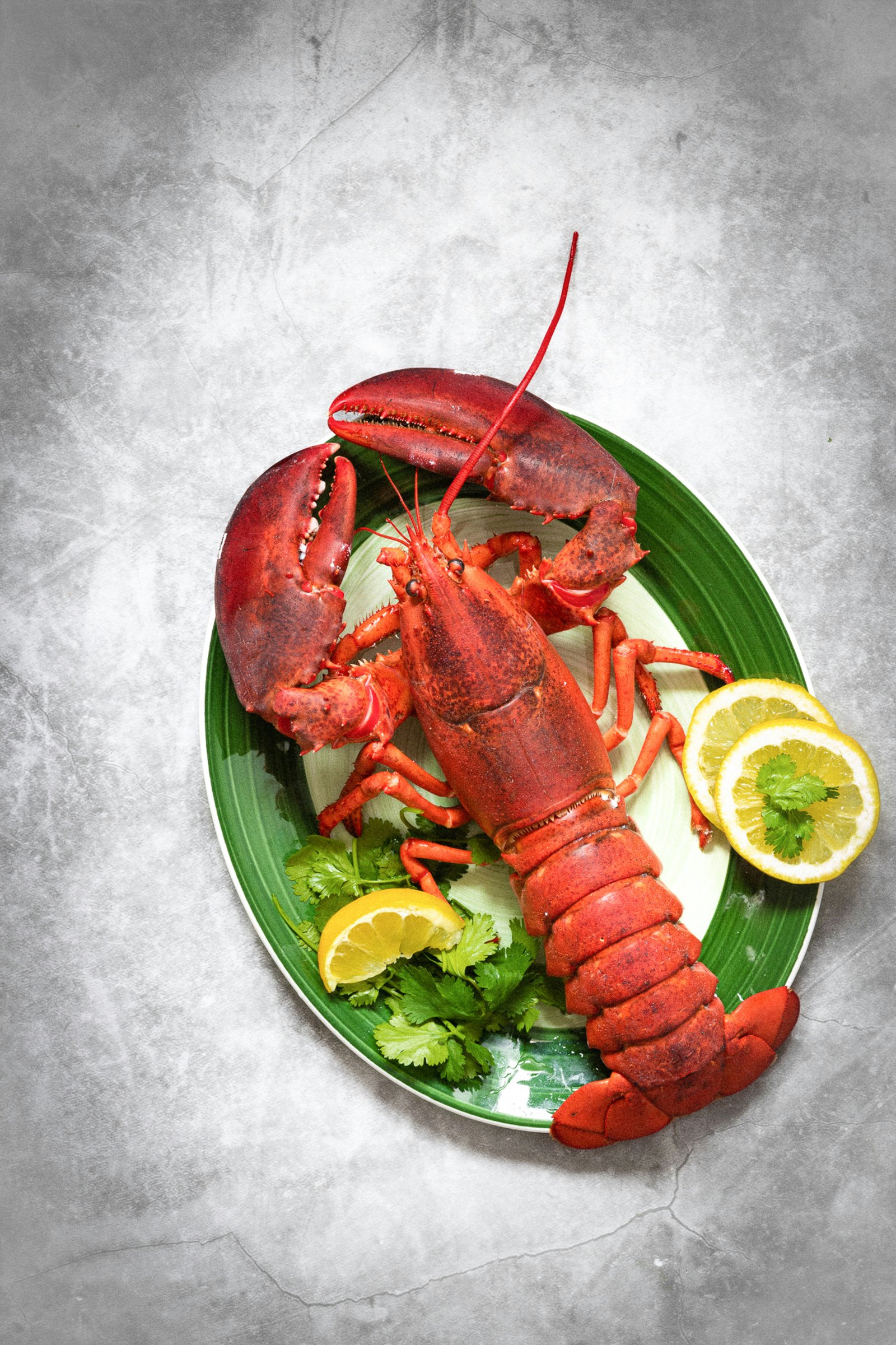 Whole Lobster