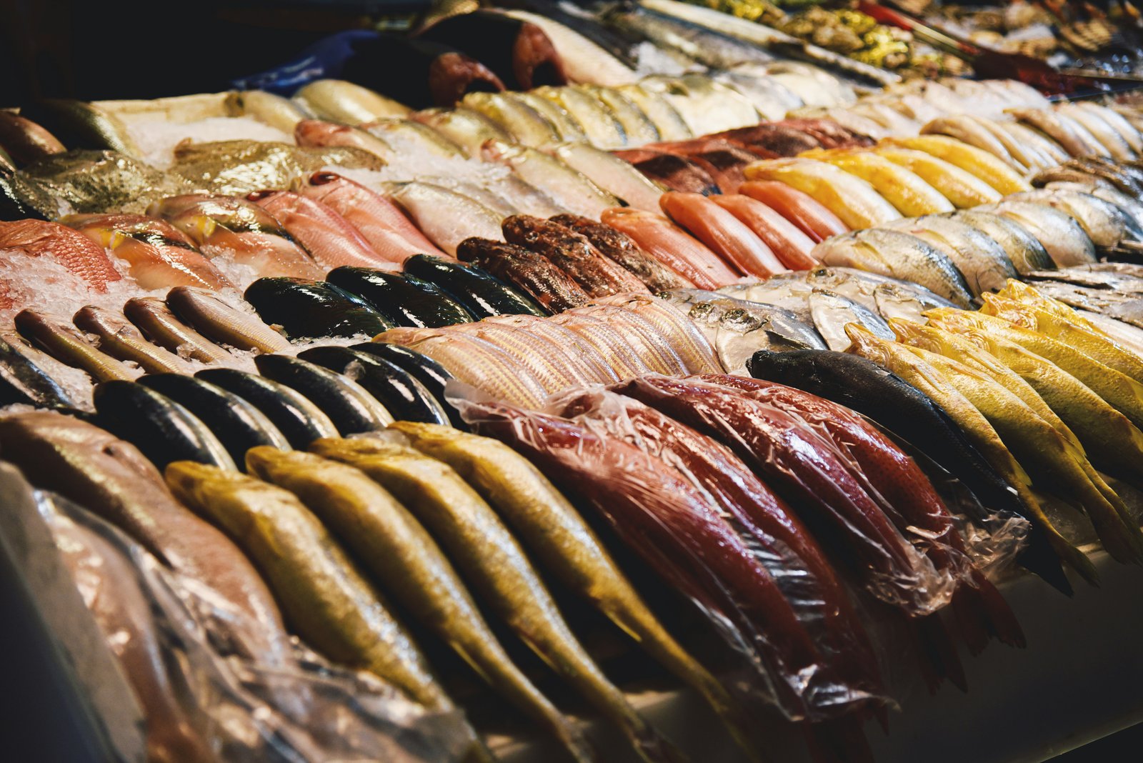 Fresh fish on ice