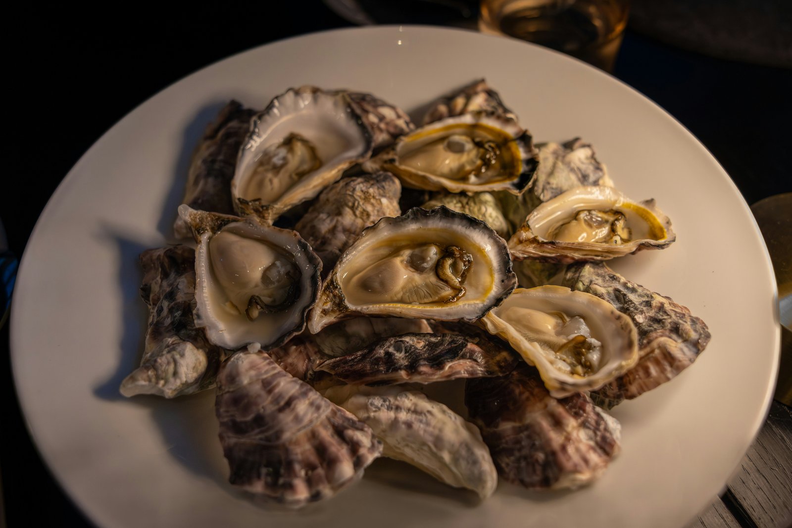 Fresh Oysters (12)