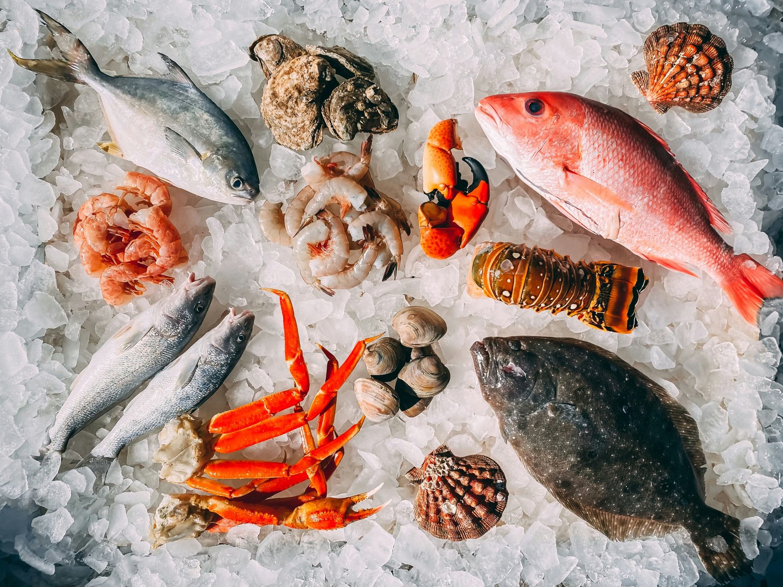 Shellfish & Squid